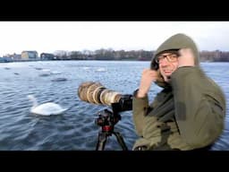 How to Photograph Birds in STRONG WIND (Canon R6 & EF 500mm F/4 Lens)