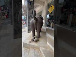 #Poo #paper sold here #elephant #colombo #usmantahirjappa