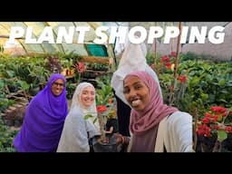 PLANT SHOPPING IN XERO AWR AREA | HARGEISA SOMALILAND 2025