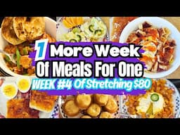 Part 5 - One Person Meals For 1 Last Week | Cooking For One Extreme Grocery Budget Challenge