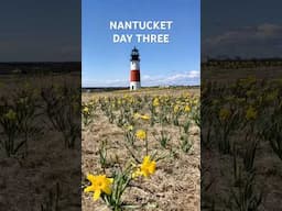 Nantucket: Day Three