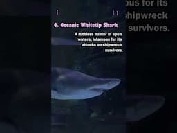 5 Most Deadliest Sharks That Rule the Oceans