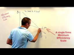 The Minimum Efficiency Scale (and its Relationship to Natural Monopolies)