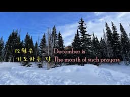 12월의 시 - 차신재 Poem for December -Cha SinJae 동영상 Korean & English translation caption by YouShine