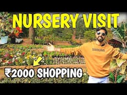 2000₹ Challange Plant Shopping | NURSERY VISIT & NEW PLANTS