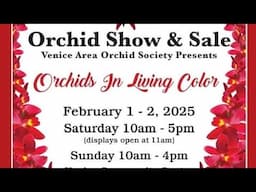 VENICE AREA ORCHID SOCIETY SHOW PREVIEW! January 31, 2025