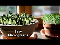 Easy Microgreens