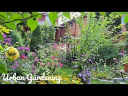 Enjoying & Relaxing In My Urban Garden | Summer Garden Tour