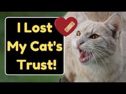 10 Easy-To-Miss Signs Your Cat Is Losing TRUST In You