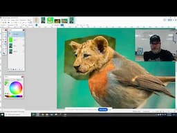 Photoshop Battle 4: Tiger-headed Bird (or Bird-headed Tiger) - Paint.net 2024