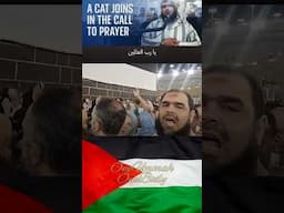 Dua for Palestine (Makkah)