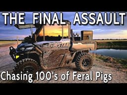 The Final Assault || Chasing feral pigs