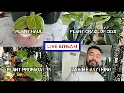 Houseplant Haul and Propagation, Plant Craze of 2020, Ask Me Anything - LIVE STREAM