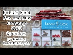 Dollar Bead Box and Bag January 2025 Opening