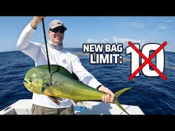 Watch This Before Mahi Mahi Fishing