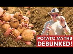 6 Potato Growing Myths -- Busted or True?