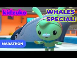 @Octonauts - 🐋 🐳 Awesome Whales 🐳🐋 | Full Episodes Marathon | @Kidzuko