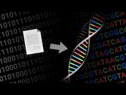 How to store data on DNA?