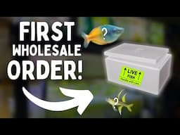 UNBOXING My First Aquarium Fish WHOLESALE ORDER!