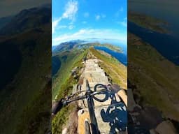 This is not AI. Real Mountain Biking.