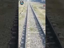 donkey vs train #shorts