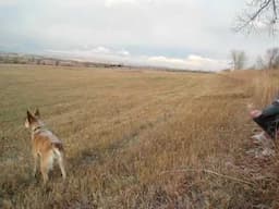 Barley Snow-Jumping 2010