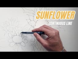 Continuous line drawing a sunflower in tombow brush pens