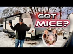 Best Way To KEEP MICE OUT- How To EASILY Fix Entry Points On Your RV