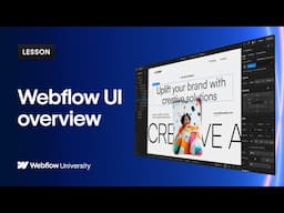 Welcome to the Webflow UI