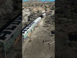 Abandoned Trains in the USA Desert