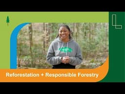 Working Trees: Reforestation and Responsible Forest Management