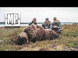 Muzzleloader Hunting Central Barren Ground Caribou and Muskox | Mark V. Peterson Hunting