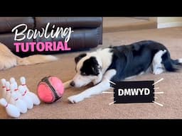 Bowling: Dog Trick Tutorial - DMWYD