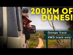 🤔Better Than The Simpson Desert❓ Hitting the Dunes Of The Googs Track