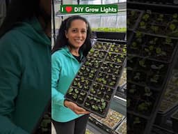 DIY Grow Lights - Grow A TON Of Plants!