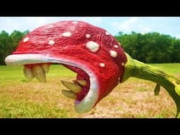 Top 5 Bizarre Plants You Never Heard of