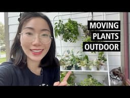 Moving Houseplant Outdoors for Summer | Mini Hoya Tour | Mites Treatment | DOBA Plant Shelf Unboxing