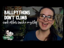 BALLPYTHONS DON'T CLIMB AND OTHER SNAKE MYTHS