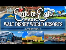 Experience The Magic Of Disney World Live - Monorail Resorts Tour Livestream 01.30.2025