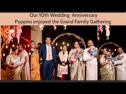 10th Anniversary celebration | Our puppies are part of every celebration | Grand family gathering