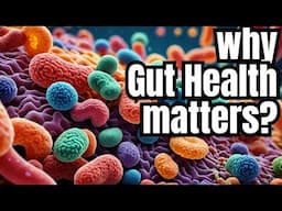 The Unexpected Benefits of Fixing Your Gut Health #healthspanculture