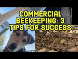 Mastering Flexibility & Growth: Commercial Beekeeper's Guide to Success