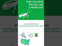 WHAT IS AN INVASIVE SPECIES