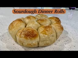 Sourdough Dinner Rolls