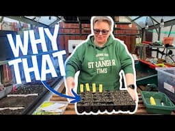 Starting now! Sowing my bell peppers, broad beans and more