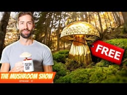 Finders' Keepers: The Global Mushroom Event You Don't Want To Miss!