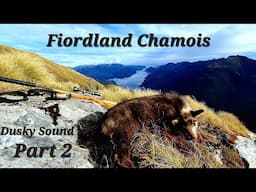 29 Day Solo Adventure in Dusky Sound | Chamois Hunting and Fishing | Part 2