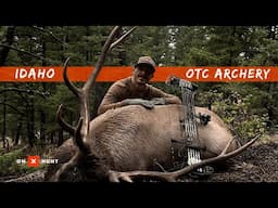 Roll With The Punches - Pressured Idaho OTC Elk - Public Land Hustle SZN 5