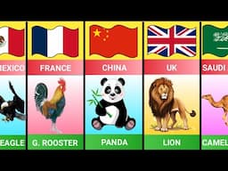 National Animals From Different Countries