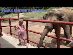 Princess Alisa feeds the elephants VLOG